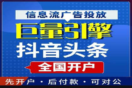 百度竞价广告投放策略：案例分析及效果评估