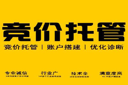 Sem优化公司案例：助力企业实现品牌曝光